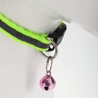 Ошейник "Спорт" со светоотражающей полосой, 31 х 1 см, зелёный
