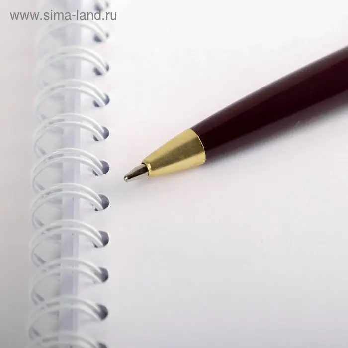 Ручка шариковая, синяя паста, 1 мм, пластик, автоматическая &laquo;Лучший учитель&raquo;