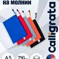 Папка-конверт на молнии А5 Calligrata &laquo;Соты&raquo;, 250 мкм, плотная, МИКС