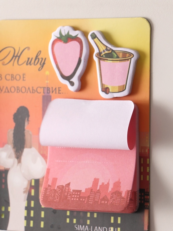 Магнит с блоком для записей и стикерами  Магнит с блоком для записей и стикерами "Живу в своё удовольствие..." 10х12 см