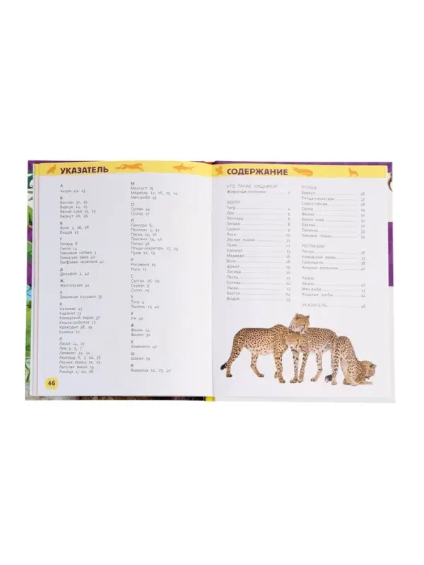 Детская энциклопедия &laquo;Дикие животные&raquo;, 48 стр.