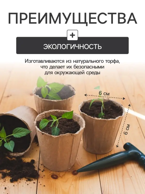 Набор для рассады: торфяной горшок 6&times;6 см, кассета на 40 ячеек, Greengo