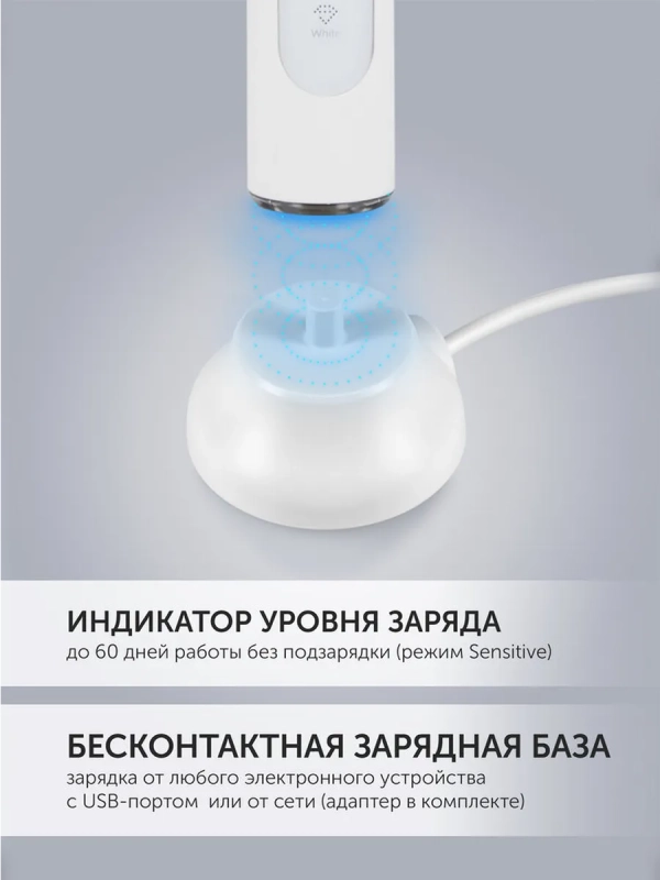 Электрическая зубная щетка PETB 0220 T