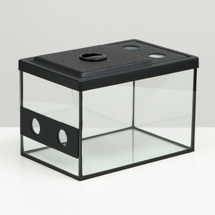 Улиточник со сквозной вентиляцией 12 литров, 30 х 20 х 20 см Улиточник со сквозной вентиляцией 12 литров, 30 х 20 х 20 см