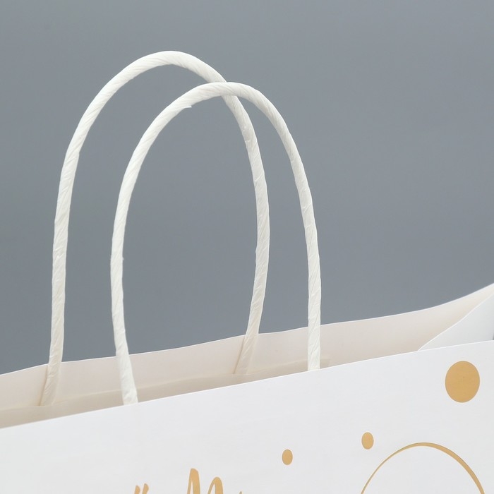 Пакет подарочный крафтовый, упаковка, «Мишка», 32 х 28 х 15 см Пакет подарочный крафтовый, упаковка, «Мишка», 32 х 28 х 15 см