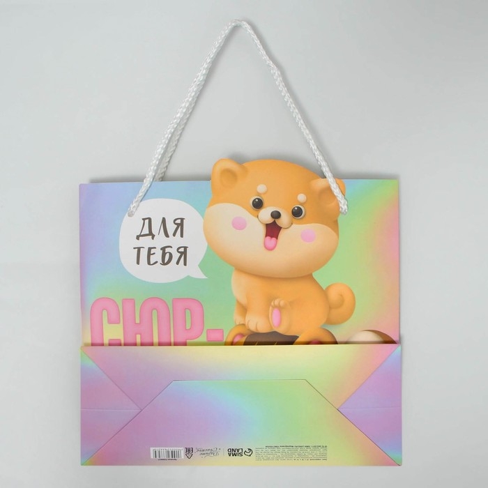 Пакет подарочный, упаковка, «Сюрприз», 25 х 26 х 10 см Пакет подарочный, упаковка, «Сюрприз», 25 х 26 х 10 см