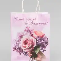 Пакет подарочный крафтовый &laquo;Лучшей во вселенной&raquo;, 25&times;22&times;11 см