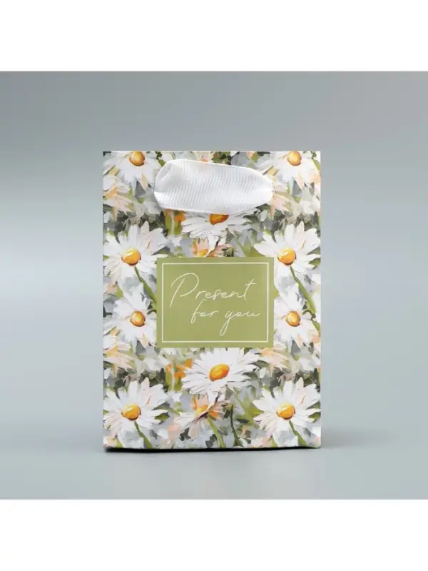 Пакет подарочный ламинированный, упаковка, Present, 9&times;12&times;6.5 см