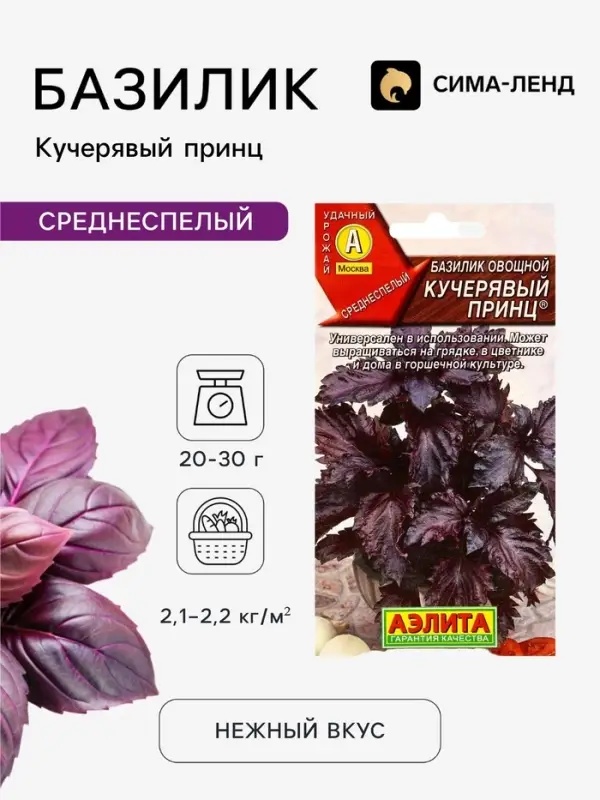 Семена Базилик овощной &laquo;Кучерявый принц&raquo;, 8 шт., среднеспелый, &laquo;Аэлита&raquo;