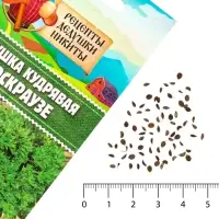 Семена Петрушка кудрявая &laquo;Мооскраузе&raquo;, 2 г, &laquo;Рецепты дедушки Никиты&raquo;
