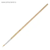 Набор кистей для рисования, синтетика, 10 штук: № 1, 2, 3, 4, 5, 6, 7, 8, 9, 10, круглые, деревянная ручка, международный размер