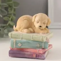 Фигурка полистоун &laquo;Щенок спит на книгах&raquo;, 9&times;7&times;8.5 см
