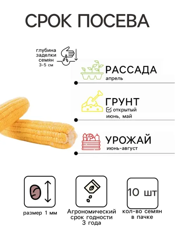 Семена Кукуруза суперсладкая Челл (Челленджер) F1, 10 шт. 12.29 г