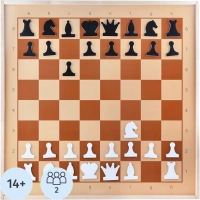 Настольная игра Шахматы демонстрационные магнитные (мини),04360