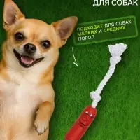 Игрушка для собак &laquo;Брутальная сосиска на верёвке&raquo;, 14 см