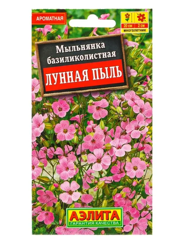 Семена цветов Мыльнянка Лунная пыль базиликолистная Мн, Ц/П,0,1 г Семена цветов Мыльнянка Лунная пыль базиликолистная Мн, Ц/П,0,1 г