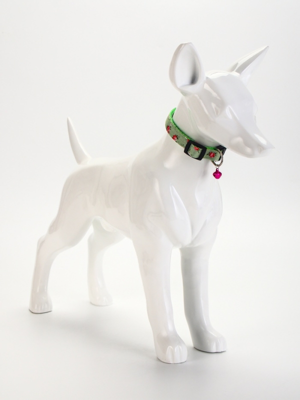 Ошейник Ошейник "Цветочный вайб", 40 х 1,5 см, зелёный