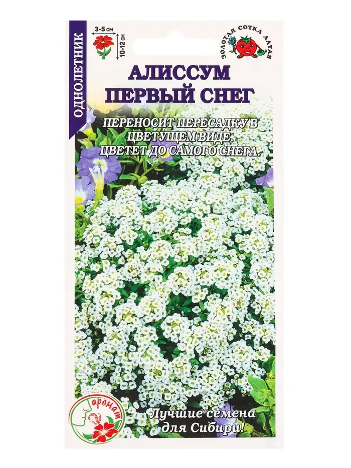 Семена Алиссум Первый снег белый /Сотка/ 0,05 г/*1500 Семена Алиссум Первый снег белый /Сотка/ 0,05 г/*1500