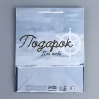Пакет подарочный ламинированный, упаковка, Present for you, ML 21&times;25&times;8 см