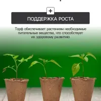 Набор для рассады: торфяной горшок 6×6 см, кассета на 6 ячеек, 17.5×13.5 см, Greengo