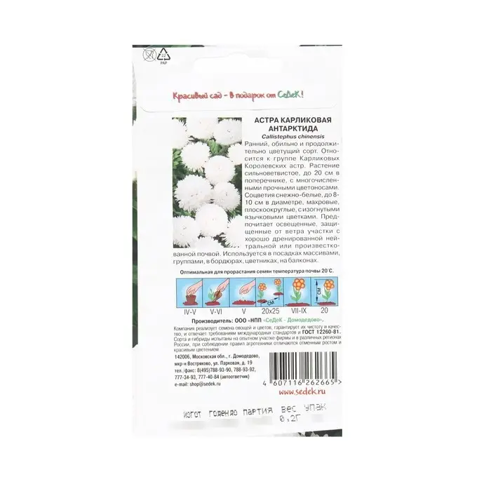 Семена Цветов Астра  Семена Цветов Астра "Антарктида "0.2 г