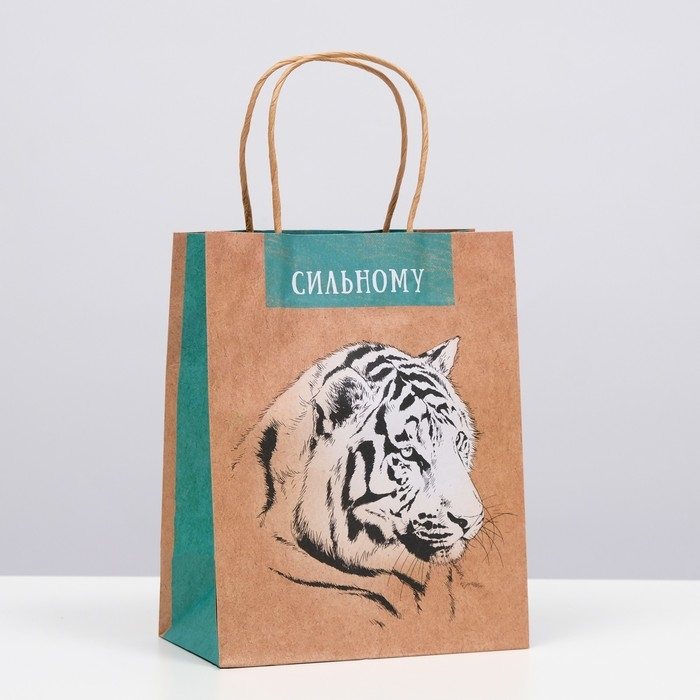 Пакет подарочный Пакет подарочный "Сильному" 18 х 22,3 х 10 см