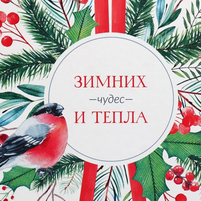 Коробка подарочная «Зимних чудес», 26.2 х 26.2 х 14 см, Новый год Коробка подарочная «Зимних чудес», 26.2 х 26.2 х 14 см, Новый год