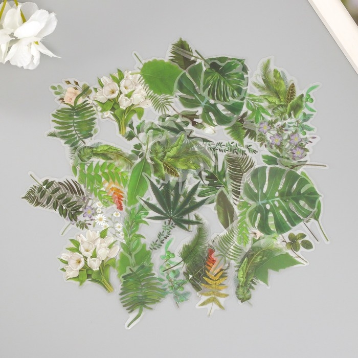 Наклейки для творчества пластик PVC Наклейки для творчества пластик PVC "Зеленые листья" набор 60 шт 10х14 см