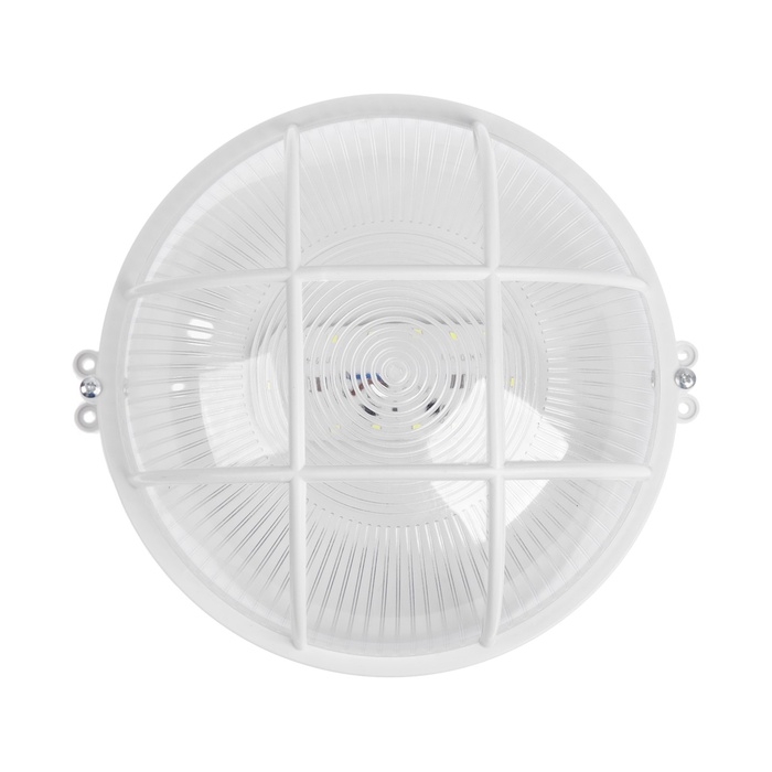 Светильник ЖКХ светодиодный, 8 Вт, IP54, 6500K, 220 В, пластик, белый Светильник ЖКХ светодиодный, 8 Вт, IP54, 6500K, 220 В, пластик, белый