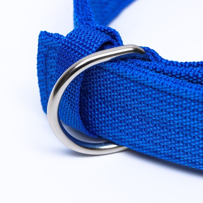 Ошейник четырехслойный, 64 х 4 см, ОШ 50-58 см, полиэстер, синий Ошейник четырехслойный, 64 х 4 см, ОШ 50-58 см, полиэстер, синий