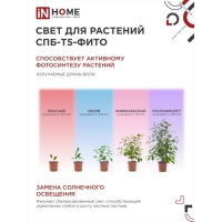 Фитосветильник светодиодный IN HOME, 10 Вт, 230 B, 570 мм, СПБ-Т5-ФИТО