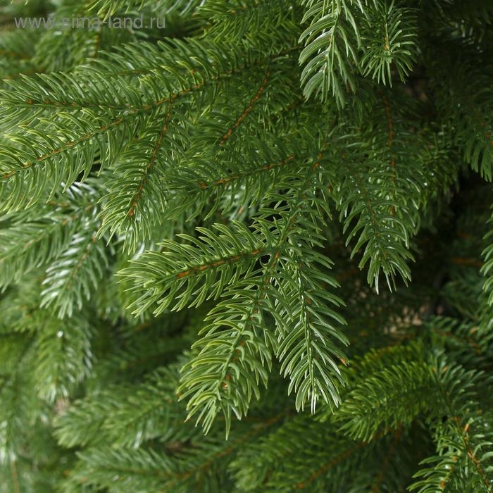 Ель искусственная Новгородская 2,1 м (подставка металл) Ель искусственная Новгородская 2,1 м (подставка металл)