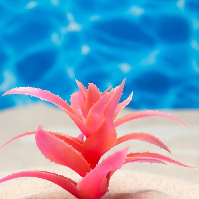 Растение искусственное аквариумное, светящееся, 10 см, красное Растение искусственное аквариумное, светящееся, 10 см, красное