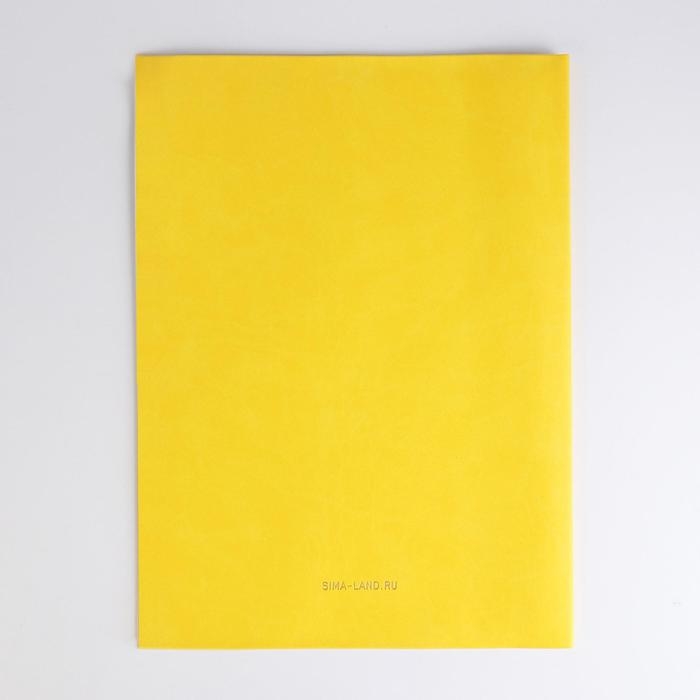 Папка для документов «Docs», 8 файлов А4 Папка для документов «Docs», 8 файлов А4