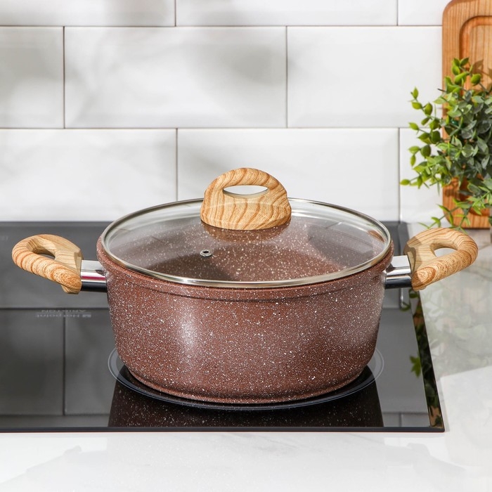 Кастрюля Доляна «Брауни», 4 л, d=20 см, h=11,5 см, стеклянная крышка, антипригарное покрытие, индукция Кастрюля Доляна «Брауни», 4 л, d=20 см, h=11,5 см, стеклянная крышка, антипригарное покрытие, индукция