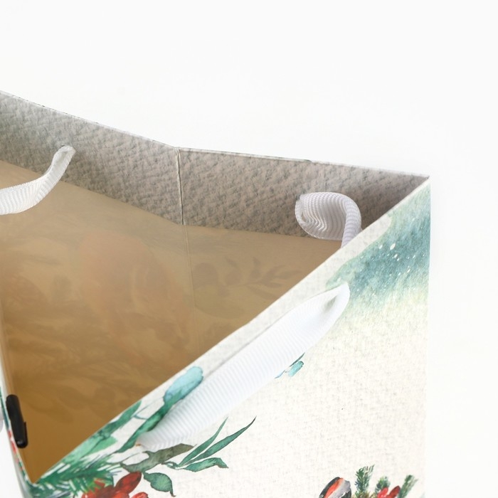 Пакет под бутылку, треугольный «Чудо», 13 х 32 х 11.3 см, Новый год Пакет под бутылку, треугольный «Чудо», 13 х 32 х 11.3 см, Новый год