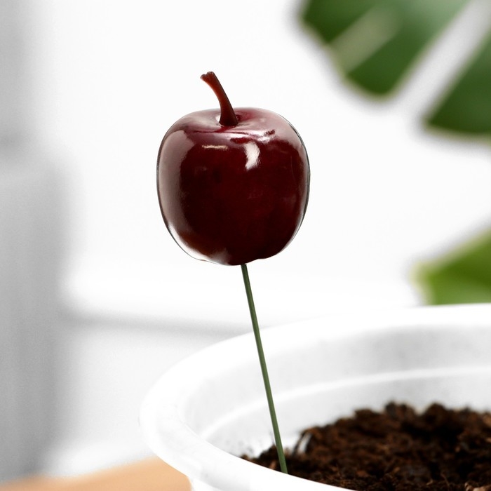 Набор штекеров Набор штекеров "Яблоко" 10шт, 3см, длина 25см