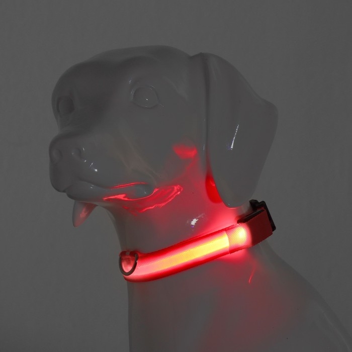 Ошейник с подсветкой размер М, ОШ 40-48 х 2,5 см, 3 режима свечения красный Ошейник с подсветкой размер М, ОШ 40-48 х 2,5 см, 3 режима свечения красный