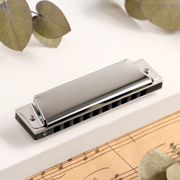 Губная гармошка Music Life T10 C диатоническая, 10 отверстий, с футляром Губная гармошка Music Life T10 C диатоническая, 10 отверстий, с футляром