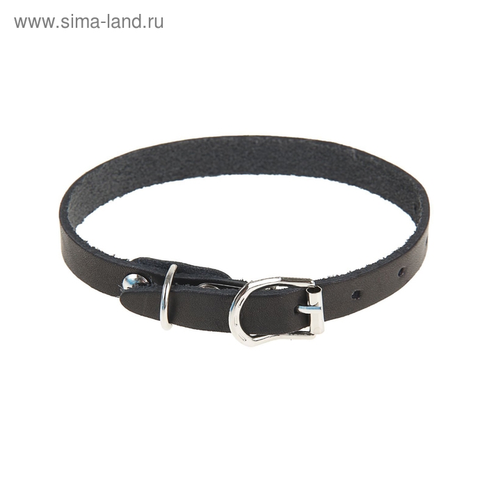 Ошейник кожаный однослойный, 30 х 1 см, ОШ 19-27 см, черный Ошейник кожаный однослойный, 30 х 1 см, ОШ 19-27 см, черный