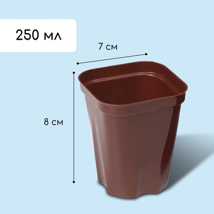 Набор для рассады: стаканы по 250 мл (6 шт.), контейнер 24 × 16 см, МИКС Набор для рассады: стаканы по 250 мл (6 шт.), контейнер 24 × 16 см, МИКС