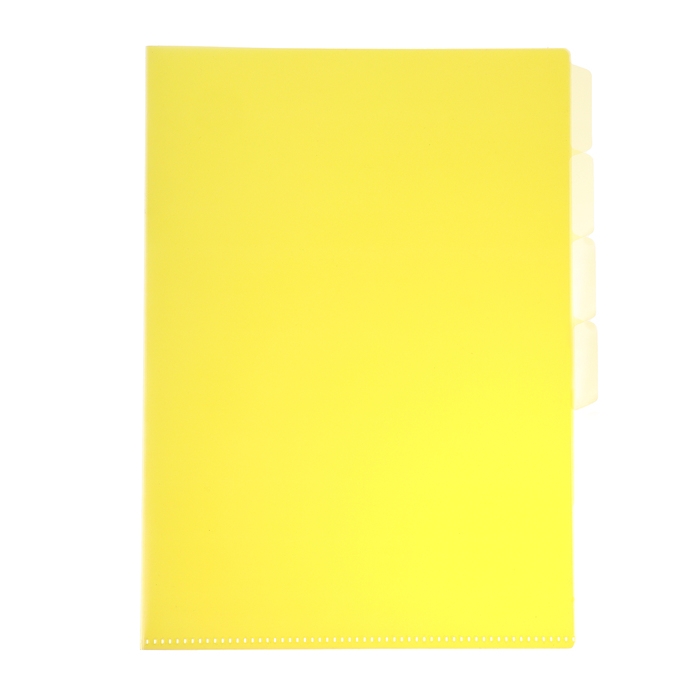 Папка-уголок А4, 180 мкм, Calligrata, 5 отделений, полупрозрачная, МИКС Папка-уголок А4, 180 мкм, Calligrata, 5 отделений, полупрозрачная, МИКС