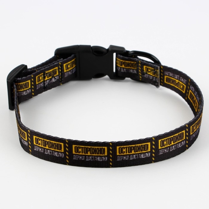 Ошейник «Осторожно», застёжка - фастекс, 2 см 25-40 см Ошейник «Осторожно», застёжка - фастекс, 2 см 25-40 см