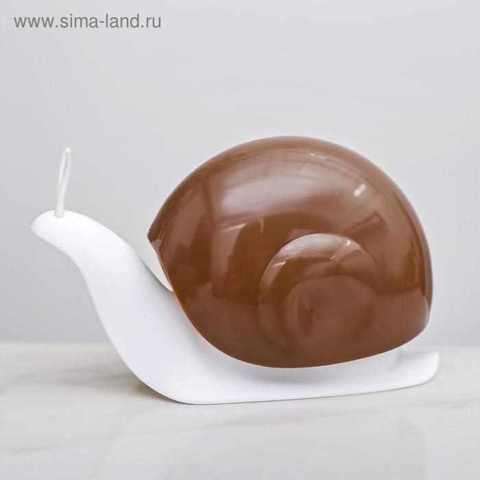 Дозатор для жидкого мыла Доляна «Улитка», 120 мл, цвет МИКС Дозатор для жидкого мыла Доляна «Улитка», 120 мл, цвет МИКС