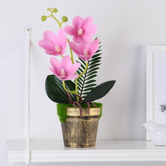 Композиция в горшке  Композиция в горшке "Орхидея экзотическая" 9х27 см, микс