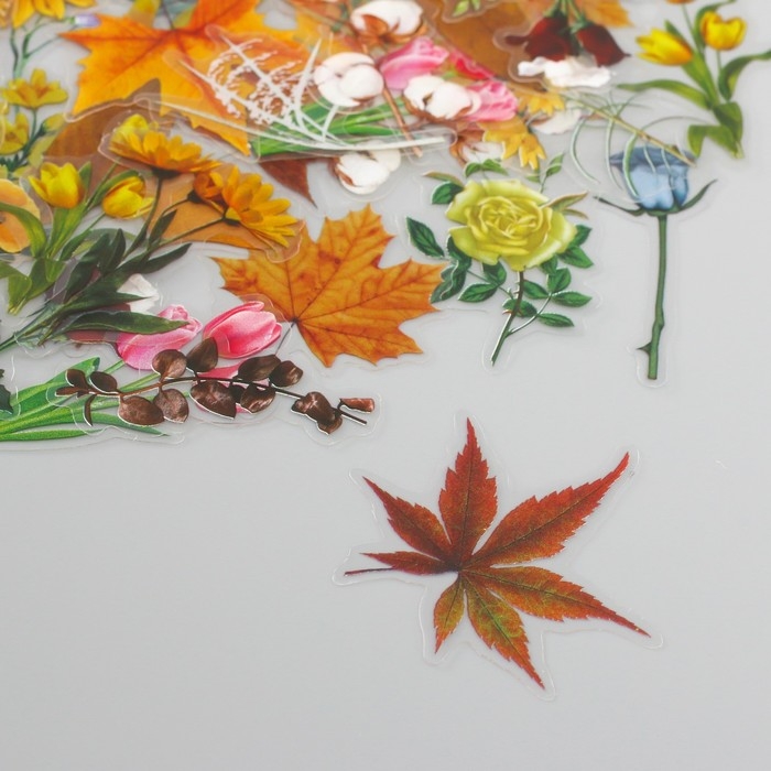 Наклейки для творчества пластик PVC Наклейки для творчества пластик PVC "Разнообразие природы" набор 60 шт 10х14 см