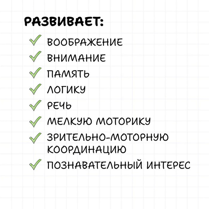 Развивающая игра "Белкин дом"