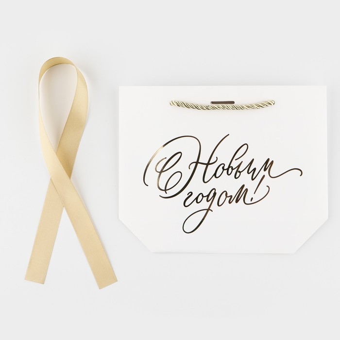 Пакет подарочный новогодний «С Новым годом», 21 х 17 х 7 см Пакет подарочный новогодний «С Новым годом», 21 х 17 х 7 см