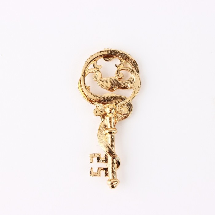 Ключ сувенирный новогодний «Новый год: К денежной удаче», 2.4 х 5.2 см Ключ сувенирный новогодний «Новый год: К денежной удаче», 2.4 х 5.2 см