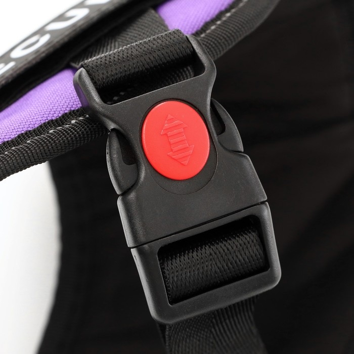 Шлейка К9 мягкая светоотражающая, размер S, ОГ 45-55 см, вес 5-12,5 кг, фиолетовая Шлейка К9 мягкая светоотражающая, размер S, ОГ 45-55 см, вес 5-12,5 кг, фиолетовая